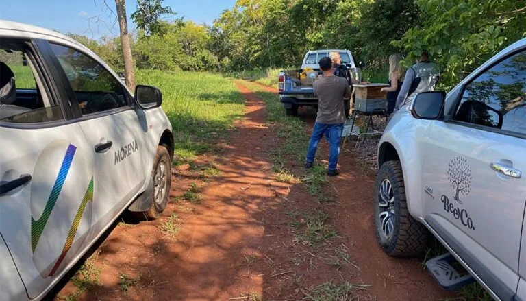 Imagens do blogReportagem +Natureza-min